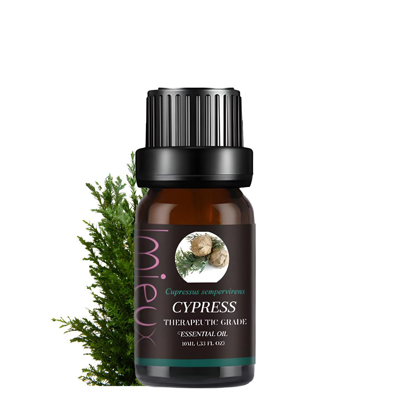 Cipresso: Tonicità Circolatoria Rivitalizzante