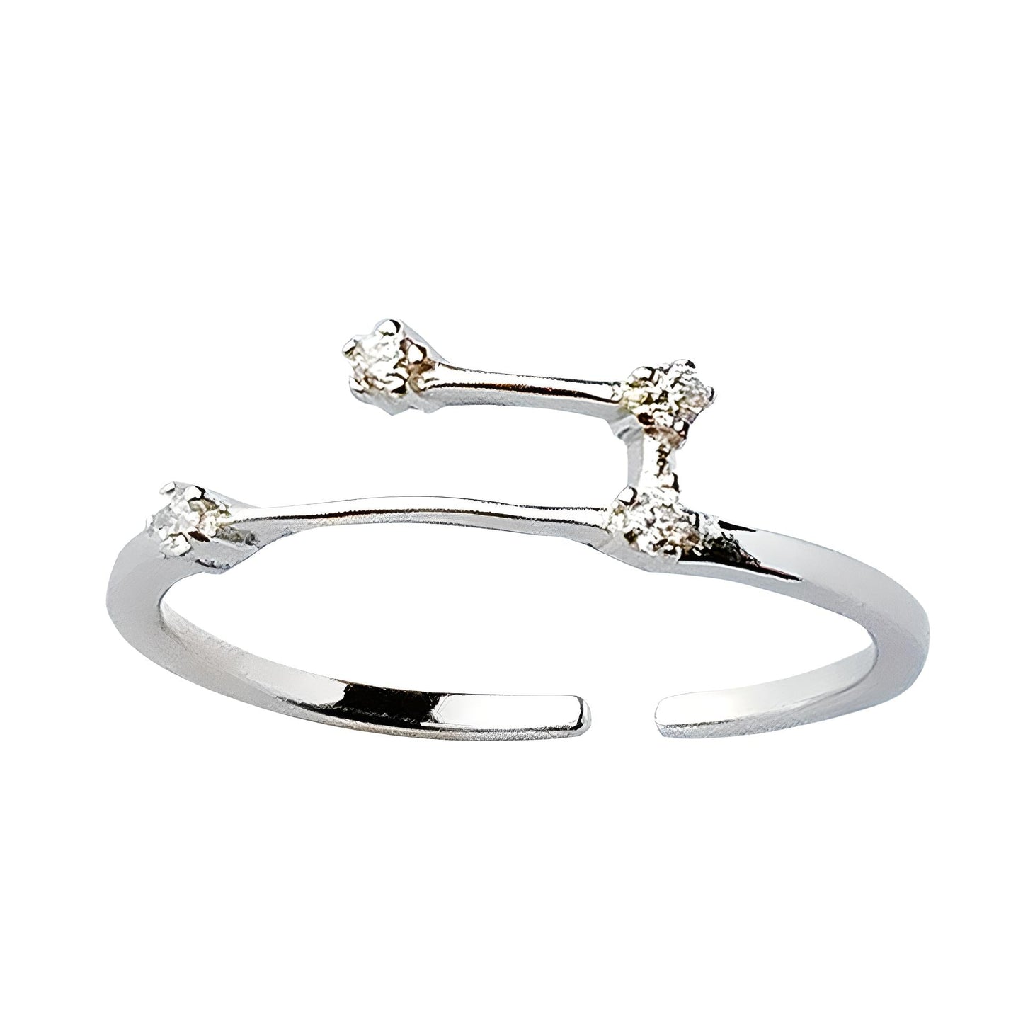 Silver Zodiac Ring