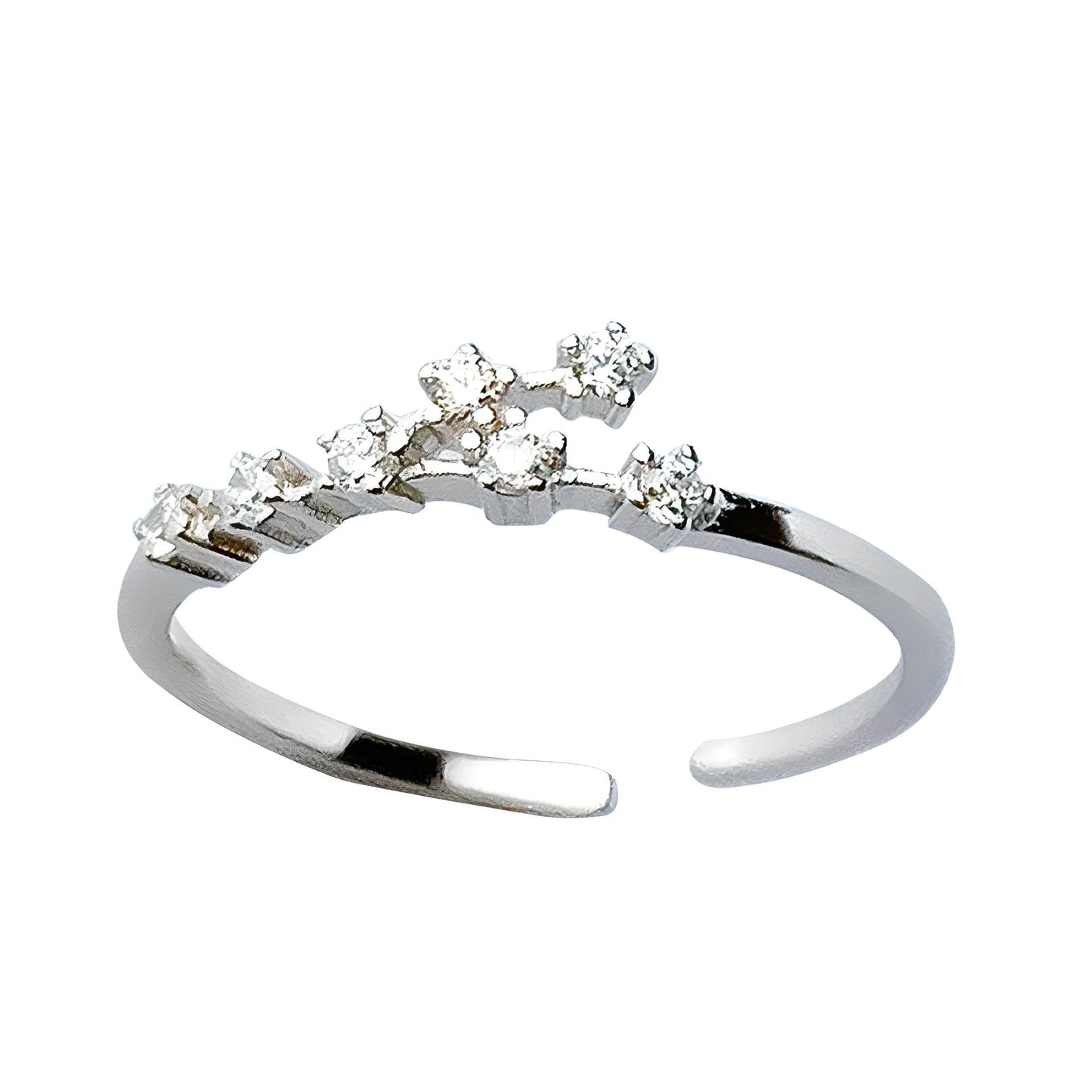 Silver Zodiac Ring